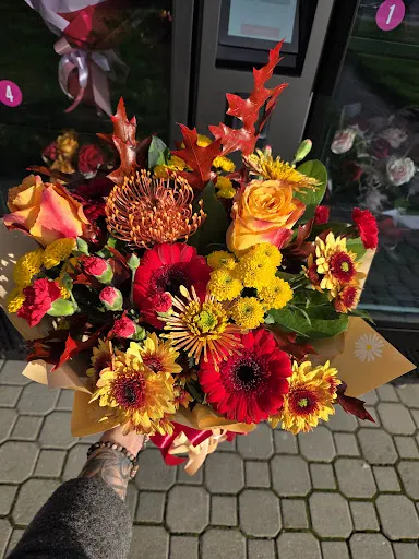 Kwiatomat Tarnobrzeg 24h Moya